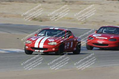 media/Nov-04-2023-CalClub SCCA (Sat) [[cb7353a443]]/Group 3/Cotton Corners (Race)/